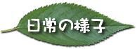 日常の様子
