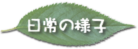 日常の様子