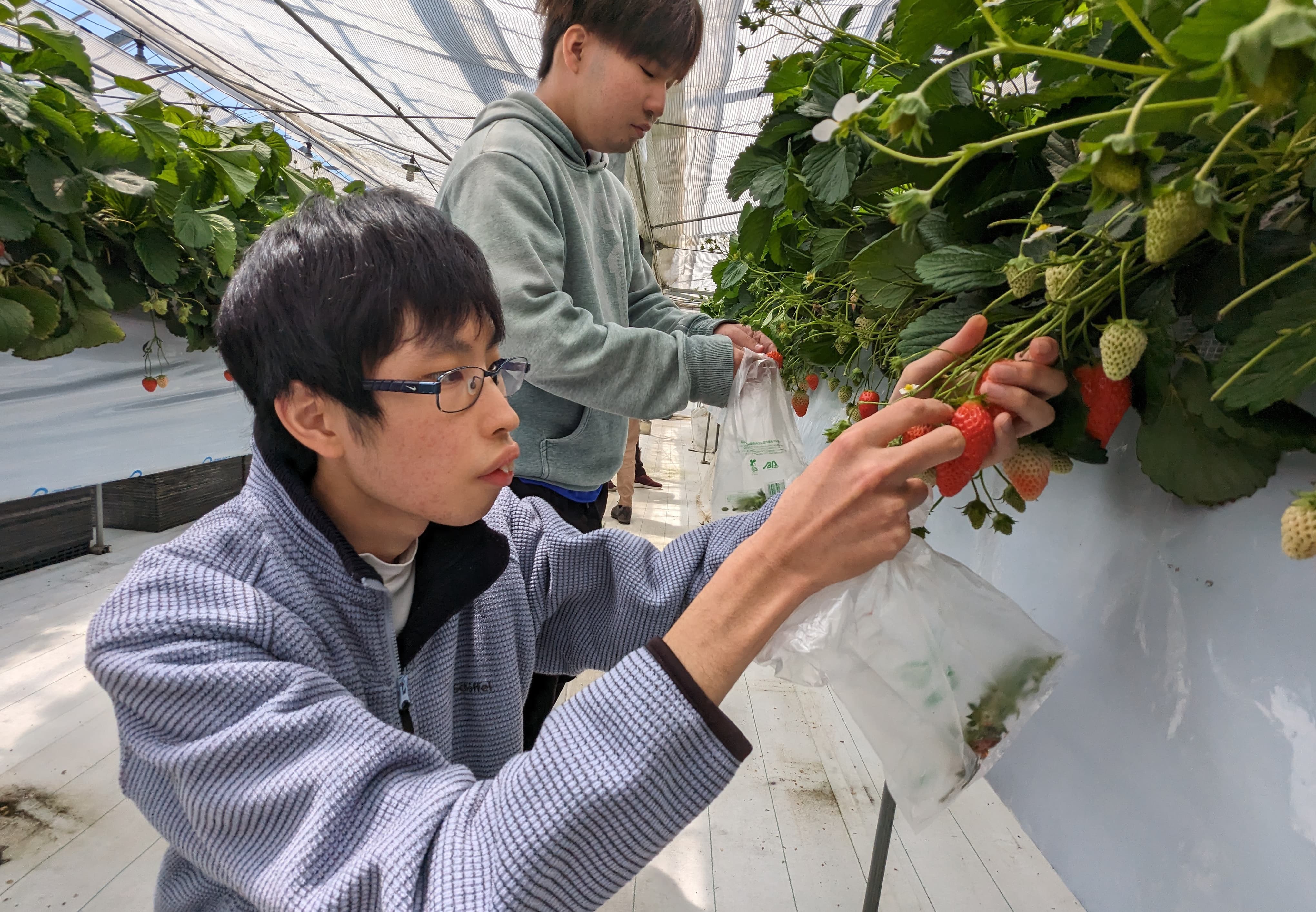 特別支援学校 聖母の家学園】趣味2023