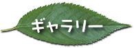 学校紹介