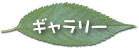 学校紹介